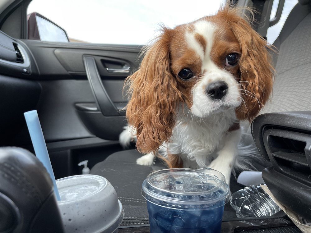 EMPOWER ENERGY Updated September 2024 1744 Apple Glen Blvd, Fort