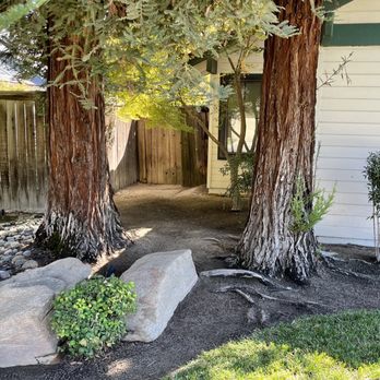 Cutting Edge Property Solutions - two large trees in front of a house - Gardeners Near Me - Fresno, California Cutting Edge Property Solutions - two large trees in front of a house - Gardeners Near Me - Fresno, California