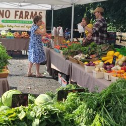 North Salem NY Farmers Market - Fino Farms