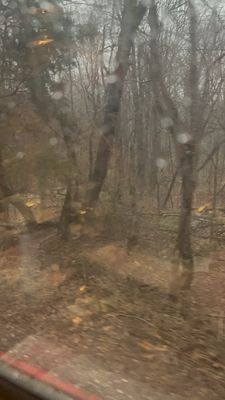 My Old Kentucky Dinner Train by null