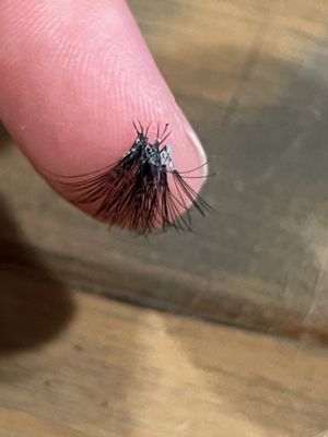 EKV Beauty Body Care