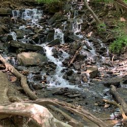 Parkville Nature Sanctuary - Waterfall