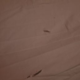 Torn sheets Torn sheets