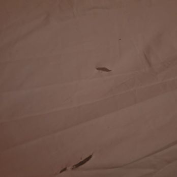 Serenity Spa - Torn sheets - Massage Near Me - Redwood City, California Serenity Spa - Torn sheets - Massage Near Me - Redwood City, California