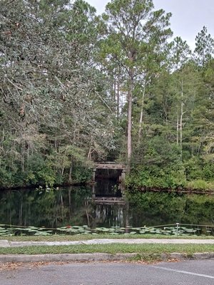 Okefenokee Swamp Park by null