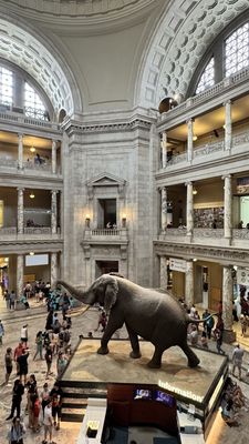 Smithsonian National Museum of Natural History by null Smithsonian National Museum of Natural History by null