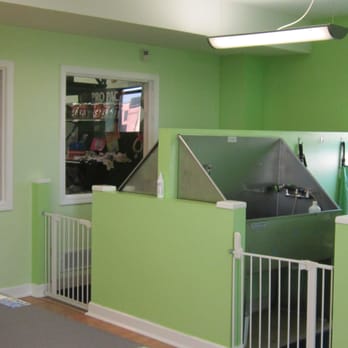 Purrfect Fur Pets - Self Washes - Pet Groomers Near Me - Plainfield, Illinois Purrfect Fur Pets - Self Washes - Pet Groomers Near Me - Plainfield, Illinois