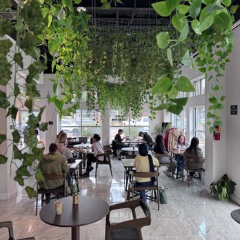 Heritage coffee shop - Bright and cheery dining area - Coffee & Tea Near Me - Frisco, Texas Heritage coffee shop - Bright and cheery dining area - Coffee & Tea Near Me - Frisco, Texas