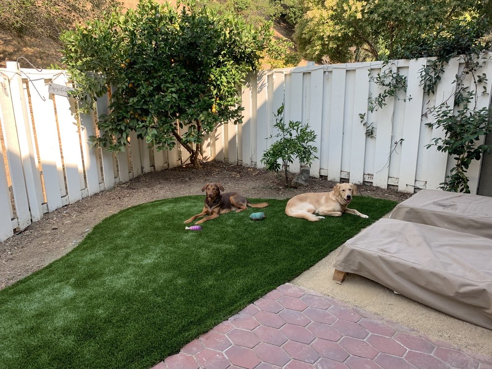 SYNTHETIC GRASS WAREHOUSE SAN FRANCISCO Updated September 2024 67