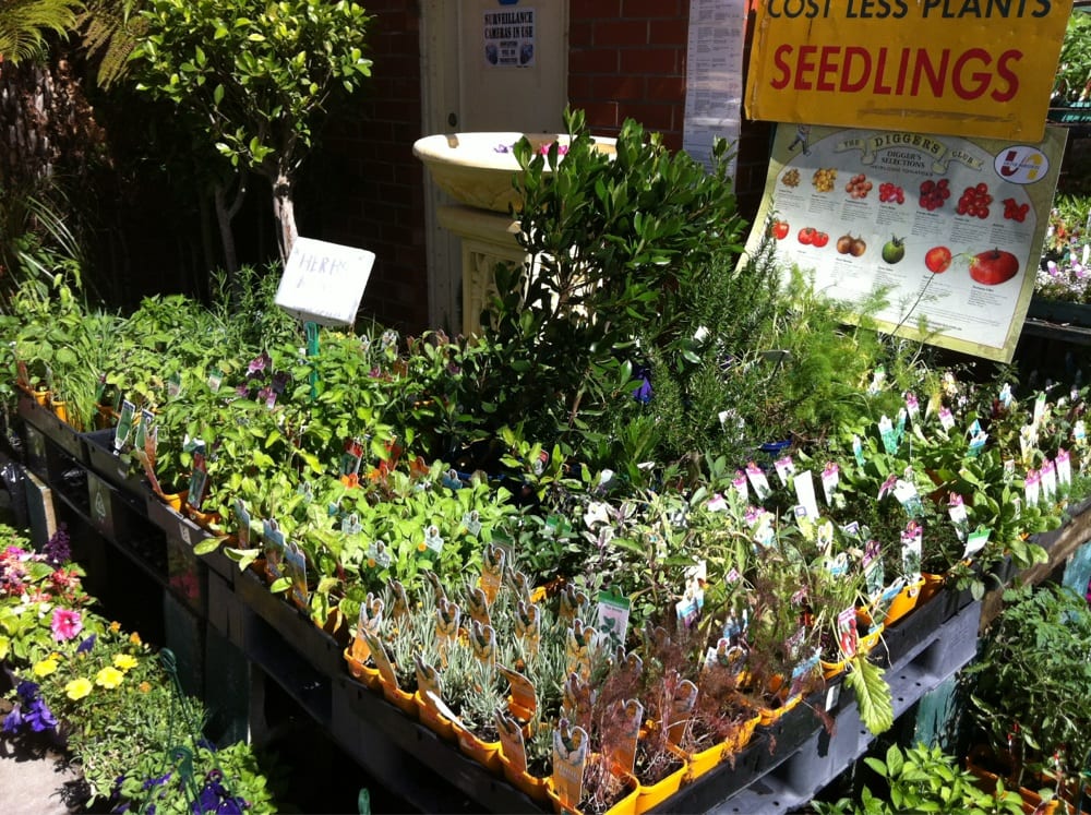 NEWTON GARDEN CENTRE Updated August 2024 10 Stradbroke Rd, Newton