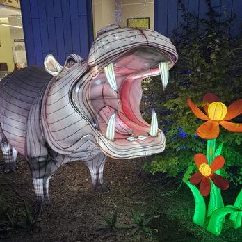 Zoolights - Zoos Near Me - Phoenix, Arizona