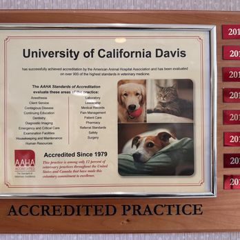 UC Davis Veterinary Teaching Hospital - No surprise that this is the best Accredited Practice in California. - Veterinarians Near Me - Davis, California UC Davis Veterinary Teaching Hospital - No surprise that this is the best Accredited Practice in California. - Veterinarians Near Me - Davis, California