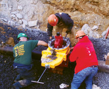 Slide of Fox Tapping