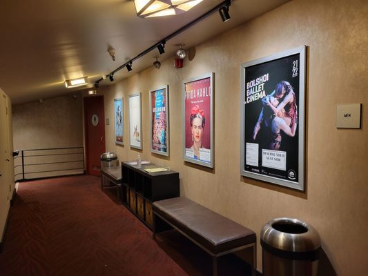 Rialto Cinemas Elmwood by null