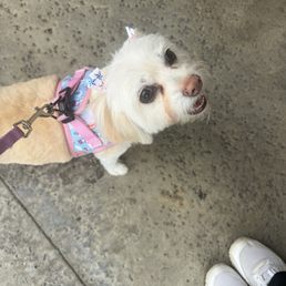 My baby Millie