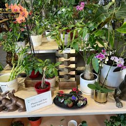 The inside is a whole vibe that was full of inspiring pots and planting ideas. Very lovely.