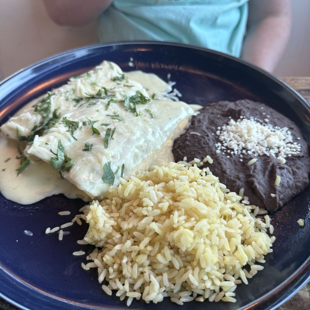 Petra - Cream cheese chicken enchiladas- I don't remember exactly what they were called on the menu. Tasty nonetheless. - Mexican Near Me - McKinney, Texas