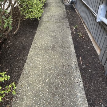 City Landscaping - Landscaping Near Me - Seattle, Washington City Landscaping - Landscaping Near Me - Seattle, Washington