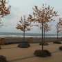 Photo of Kurpark