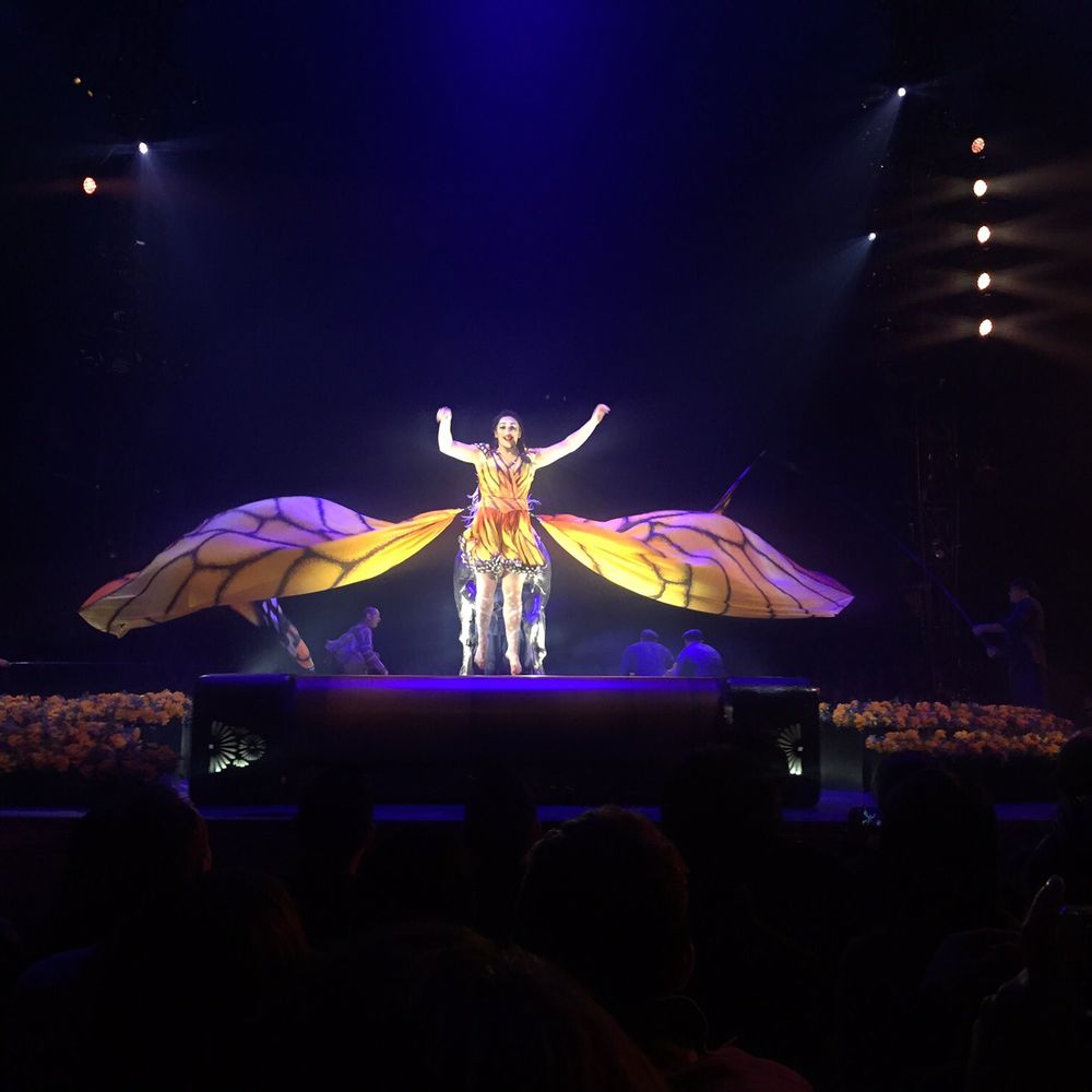 Cirque Du Soleil - LUZIA - Performing Arts Near Me - San Jose, California Cirque Du Soleil - LUZIA - Performing Arts Near Me - San Jose, California