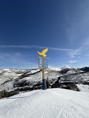 Solitude Mountain Resort by null