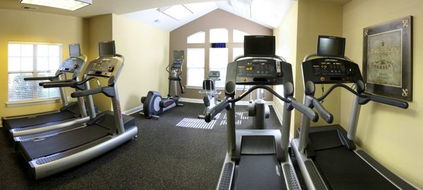 Festival Park by null