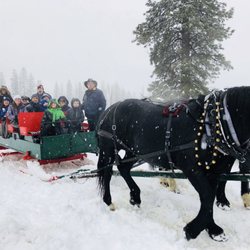 Icicle Outfitters & Guides