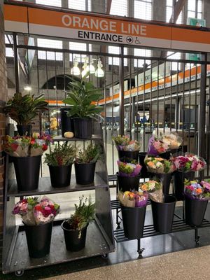 Back Bay Station (Amtrak & Orange Line) by null