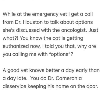 Cameron Animal Hospital - Veterinarians Near Me - Montclair, New Jersey