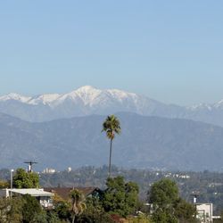 Self Realization Fellowship