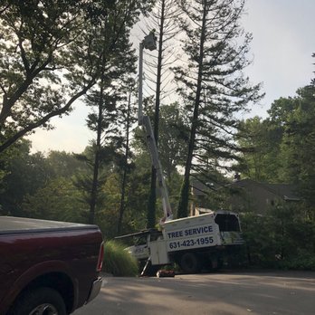 Kiel's Tree Care - Tree Services Near Me - Huntington Station, New York Kiel's Tree Care - Tree Services Near Me - Huntington Station, New York