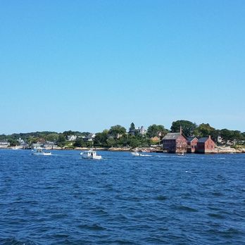 Capt Bill & Sons Whale Watch - What a way to begin. 8/26/18. 2pm tour. - Boat Charters Near Me - Gloucester, Massachusetts