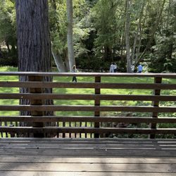 Big Sur River Inn - Riverview from front porch/window