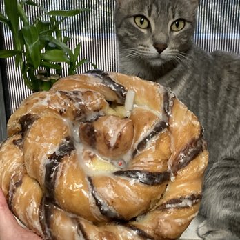 Lucky Donuts - Rattle Snake with Willow - Donuts Near Me - Phoenix, Arizona Lucky Donuts - Rattle Snake with Willow - Donuts Near Me - Phoenix, Arizona