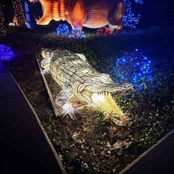 Dallas Zoo - Dallas Zoo after dark (Christmas) - Zoos Near Me - Dallas, Texas Dallas Zoo - Dallas Zoo after dark (Christmas) - Zoos Near Me - Dallas, Texas