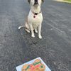 Four Muddy Paws gift card