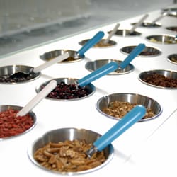 Amy's Fresh & Frozen Yoghurt - meer dan 20 toppings