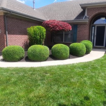 Alpha Property Maintenance - Trimming - Tree Services Near Me