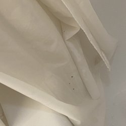 Holiday Inn Express & Suites Natchitoches - Shower curtain. Small amount of mildew.