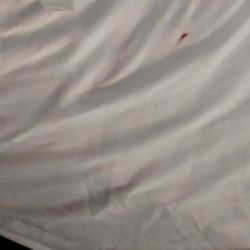 Rodeway Inn Miami I-95 - Blood on sheets