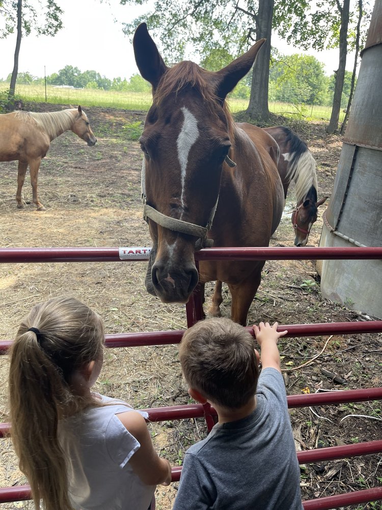 RED HOUND FARMS Farms 3239 Frye Bridge Rd, Clemmons, NC Phone