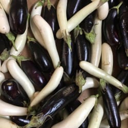 Hodge's Produce - Tiny eggplants