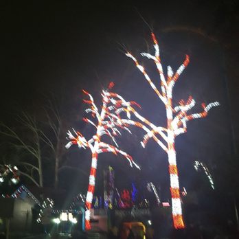 Six Flags Over Georgia - Decorated trees in the park - Amusement Parks Near Me - Austell, Georgia