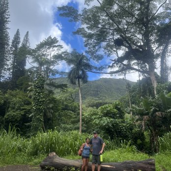 Nature and You - Hiking Near Me - Honolulu, Hawaii Nature and You - Hiking Near Me - Honolulu, Hawaii