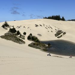 Dunebugs ATV Rentals