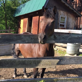 Featherbed Inn - Bed & Breakfast Near Me - Waitsfield, Vermont