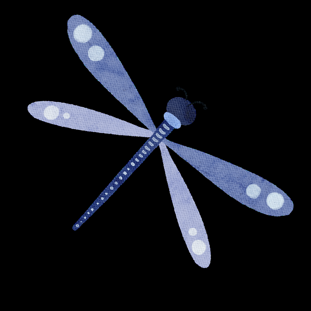 Little Harvard's Learning Center - childcare center in Colorado Springs, CO