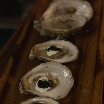 Calida Kitchen & Wine - Oysters - Wine Bars Near Me - St. Petersburg, Florida