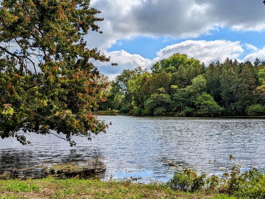 The Morton Arboretum by null
