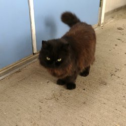 A welcomed greeting from this adorable creature